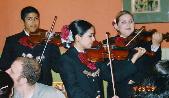 Violins hard at work